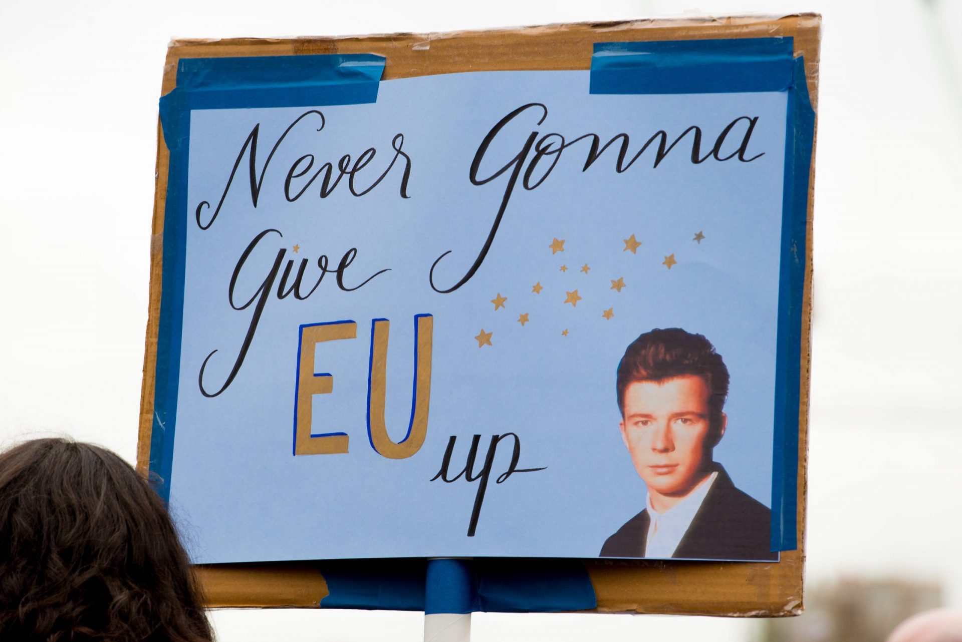 Rick Astley banner - Never Gonna Give EU Up